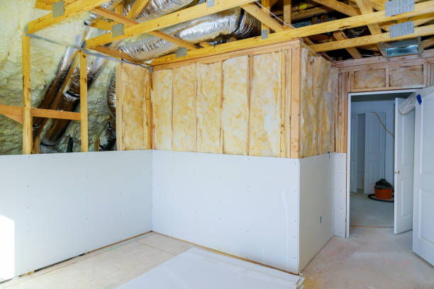 Types of Insulation We Offer in Esparto, CA